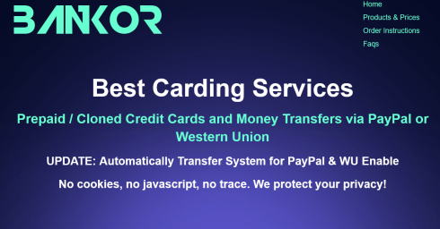 Prepaid Card | Cloned Credit Cards and Money Transfers via PayPal or Western Union